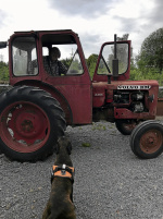Volvo Buster 400