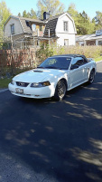 Ford Mustang Cab