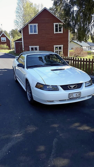 Ford Mustang Cab