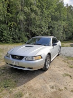 Ford Mustang v6 cab