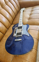 Hagström de luxe.