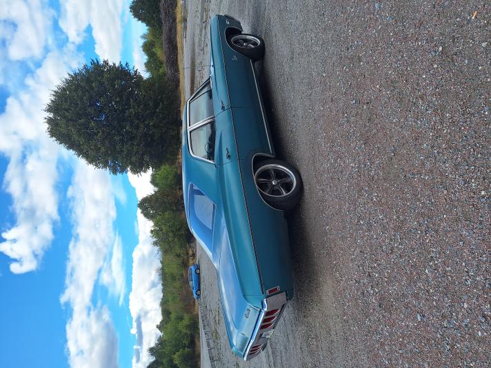Impala