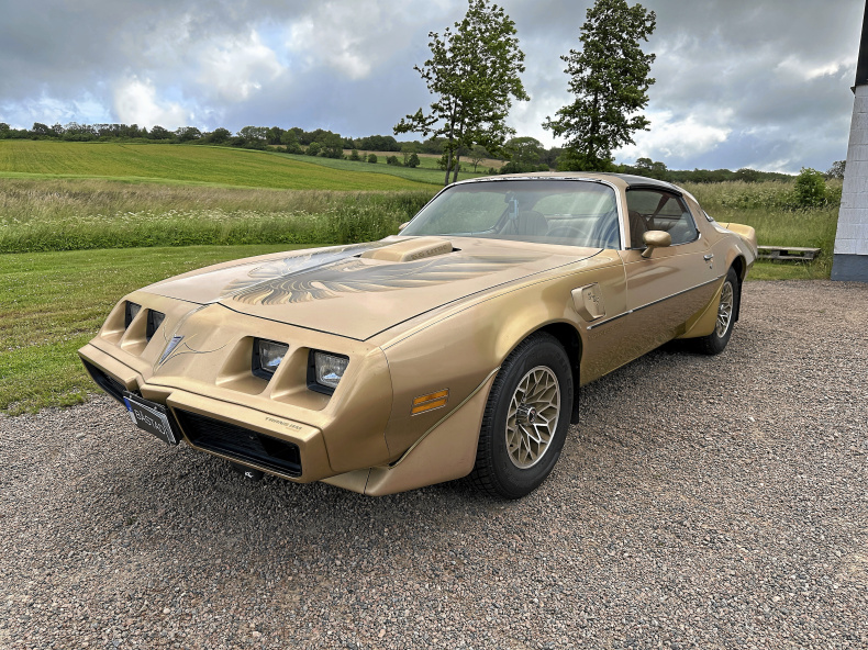 Pontiac Trans Am 6,6 V8 Targa Limited Edition Byte