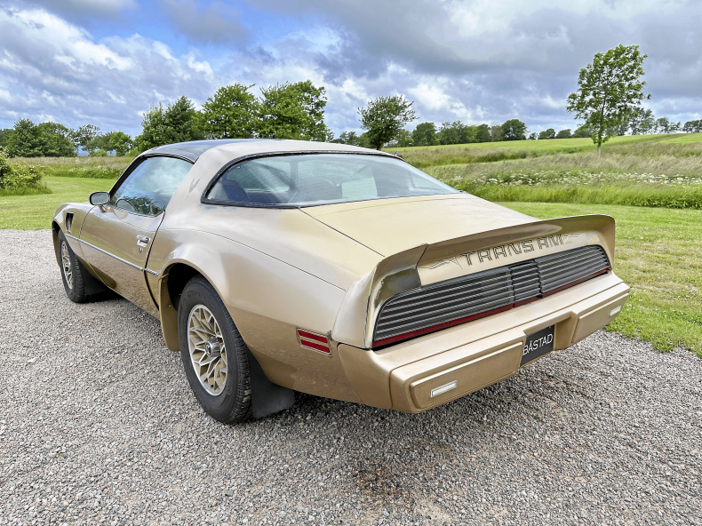 Pontiac Trans Am 6,6 V8 Targa Limited Edition Byte