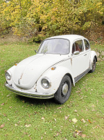 VW 1303S
