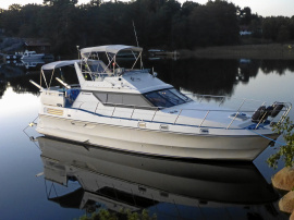 Birchwood 37 TS