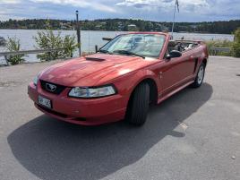 Mustang Cab 3,8 L V6 AUTOMAT -01