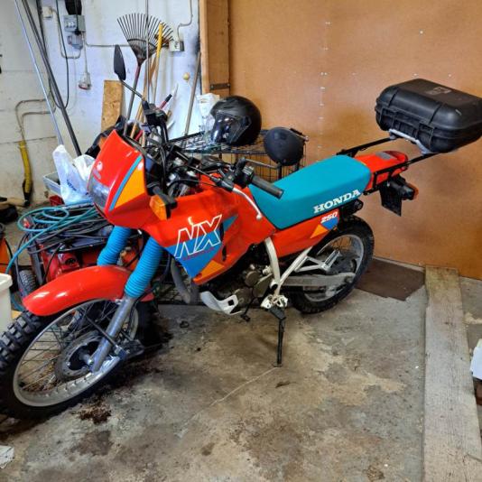 Honda NX250
