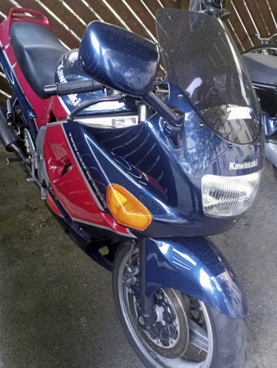 Kawasaki Z x 600 D