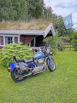 Harley-Davidsson XL Sportster 1200
