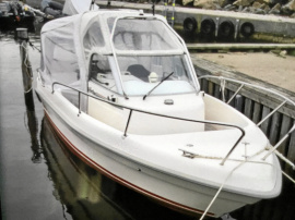 Forbina 650f diesel tamd22p