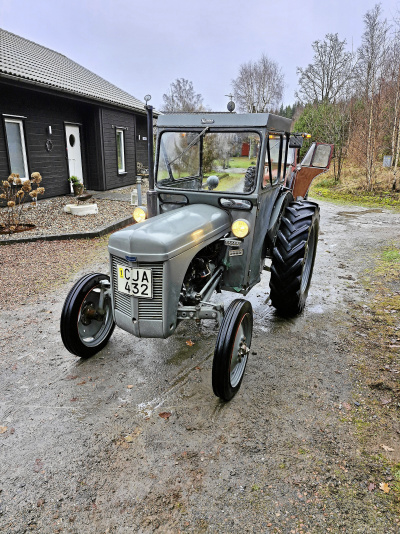 Ferguson TEA 20 Grålle