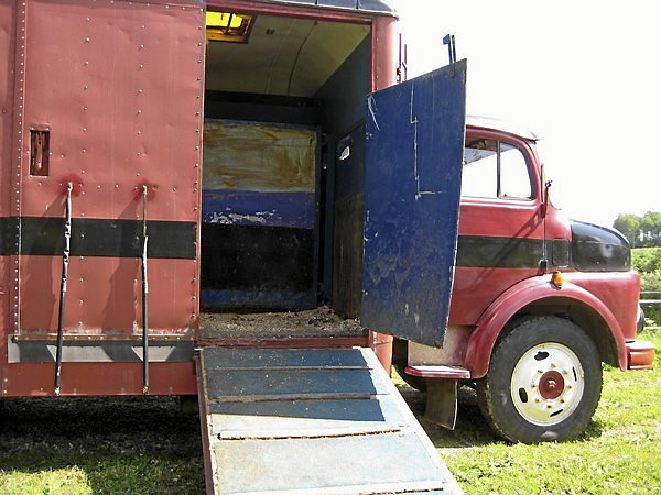Veteran Hästtransport