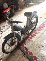 Moped