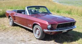 Ford Mustang Cab