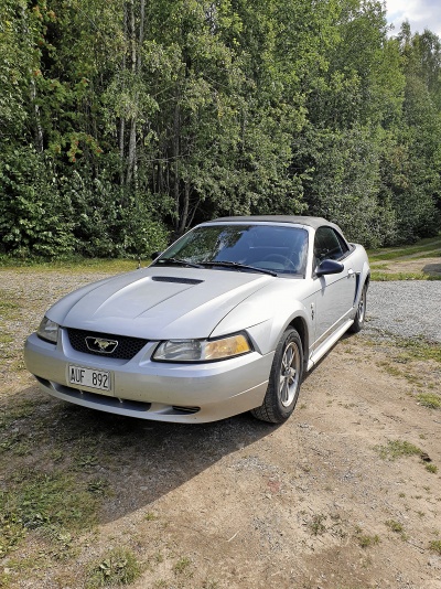 Ford Mustang Cab V6