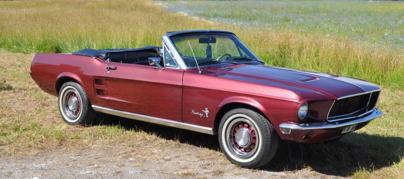 Ford Mustang Cab