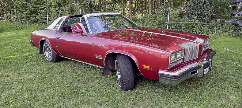 Oldsmobile cutlass salon targa