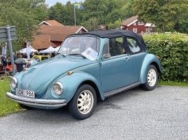 VW 1303S