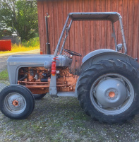 Guldkalv Ferguson Grålle