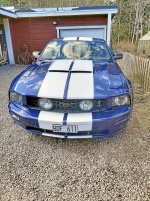 Ford Mustang 2005 V6 Automat