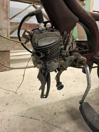 MOPED
