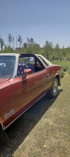Oldsmobile cutlass salon targa