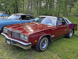 Oldsmobile Cutlass Salon Targa
