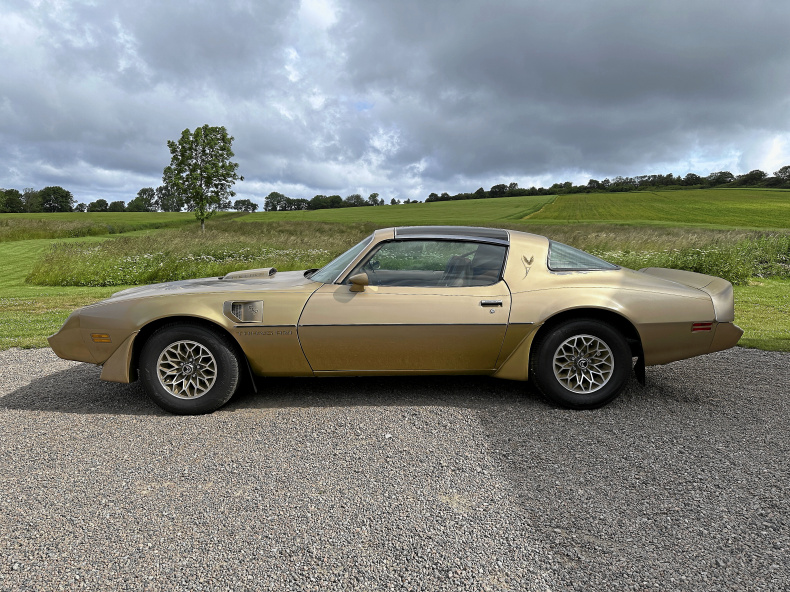 Pontiac Firebird Trans AM Targa Limited Edition