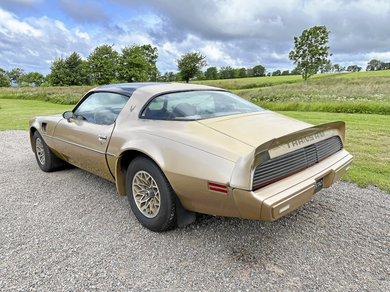 Pontiac Firebird Trans AM Targa Limited Edition