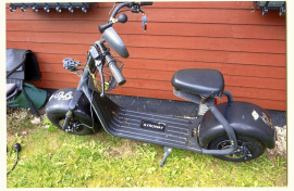  Elskoter