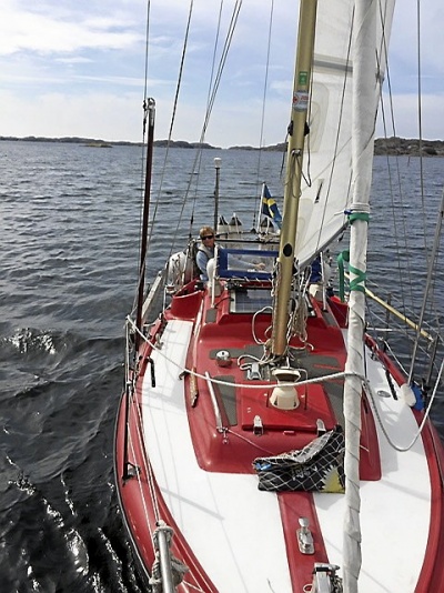 Havsfidra