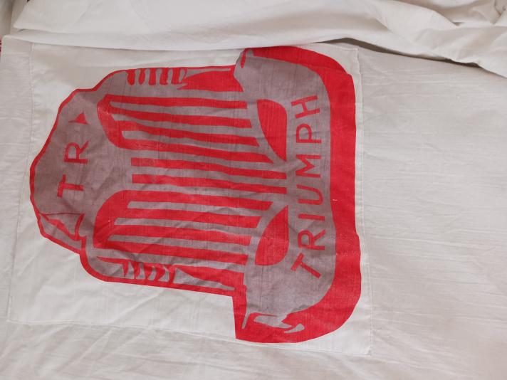 Överdrag Triumph TR4