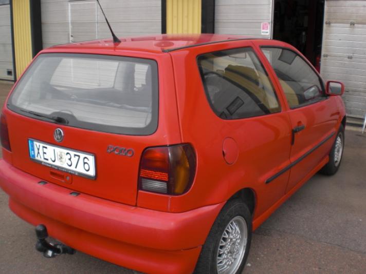 ww polo